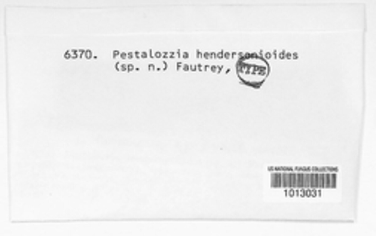 Pestalotia hendersonioides image